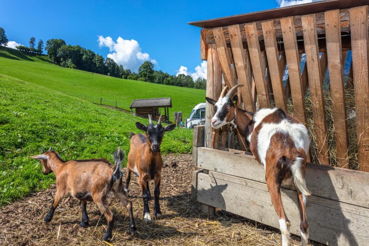 Biobauernhof Stegerbauer Maria Alm am Steinernen Meer Exterior foto
