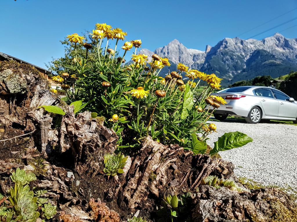 Biobauernhof Stegerbauer Maria Alm am Steinernen Meer Exterior foto