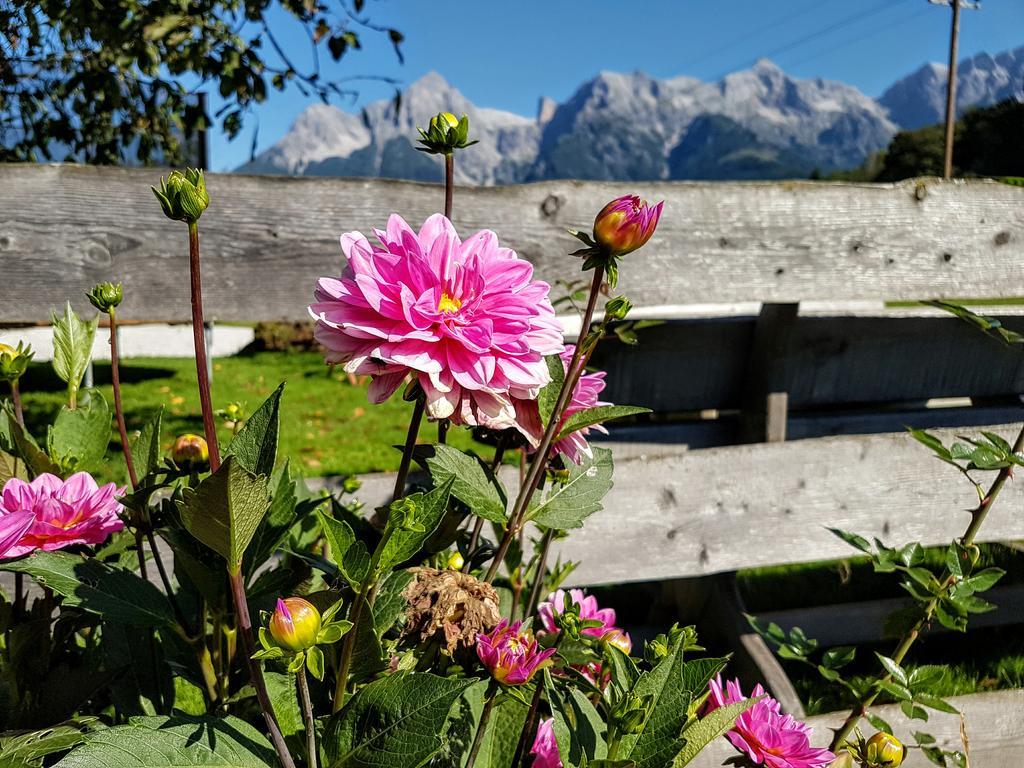 Biobauernhof Stegerbauer Maria Alm am Steinernen Meer Exterior foto