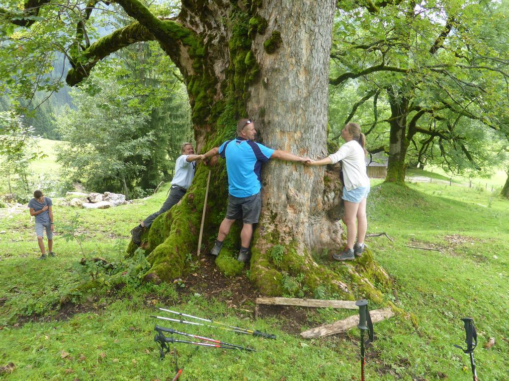 Biobauernhof Stegerbauer Maria Alm am Steinernen Meer Exterior foto