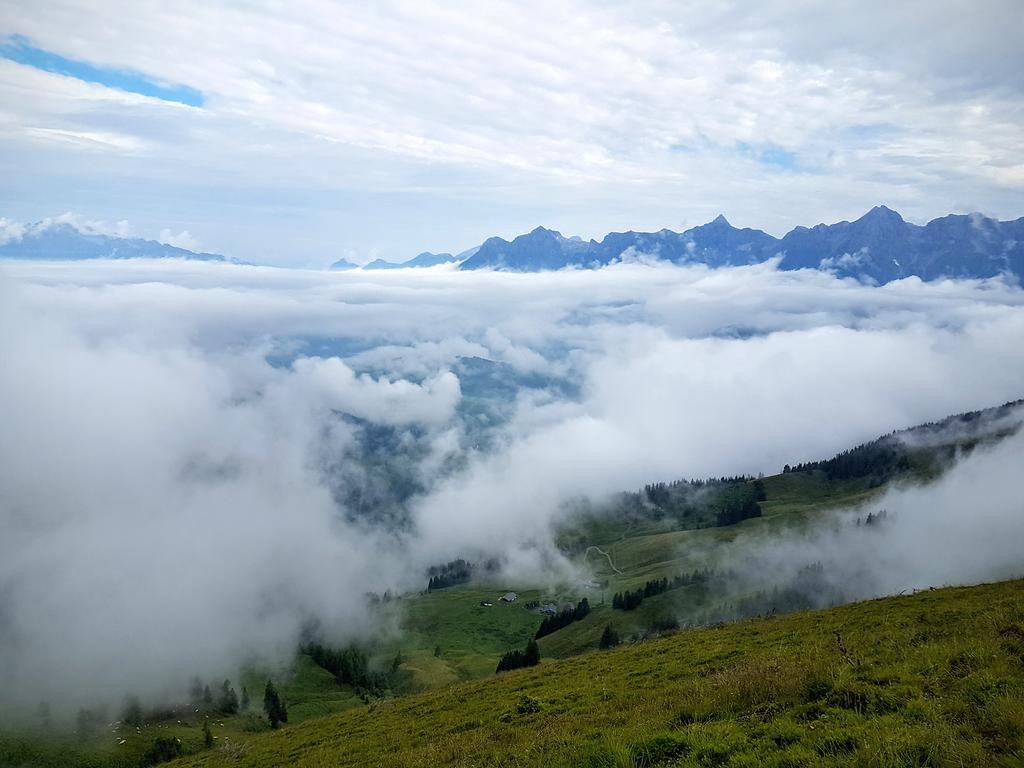 Biobauernhof Stegerbauer Maria Alm am Steinernen Meer Exterior foto