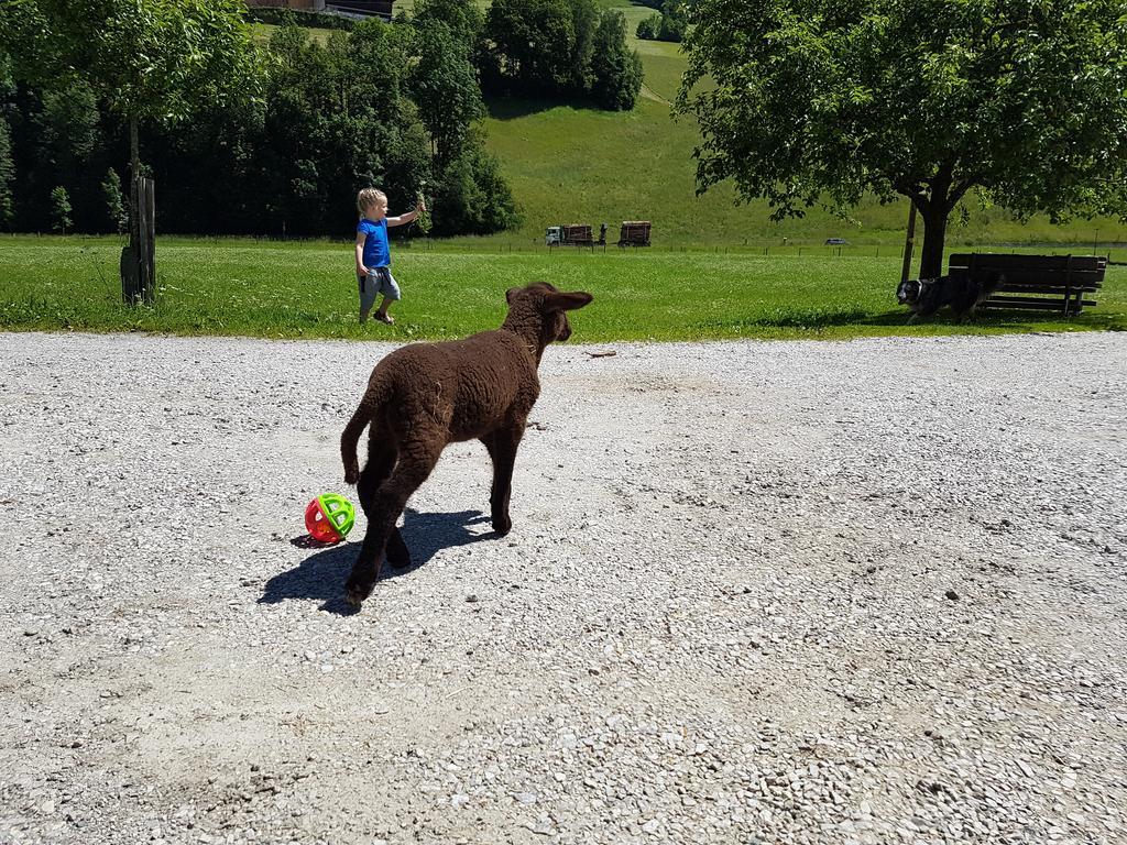 Biobauernhof Stegerbauer Maria Alm am Steinernen Meer Exterior foto