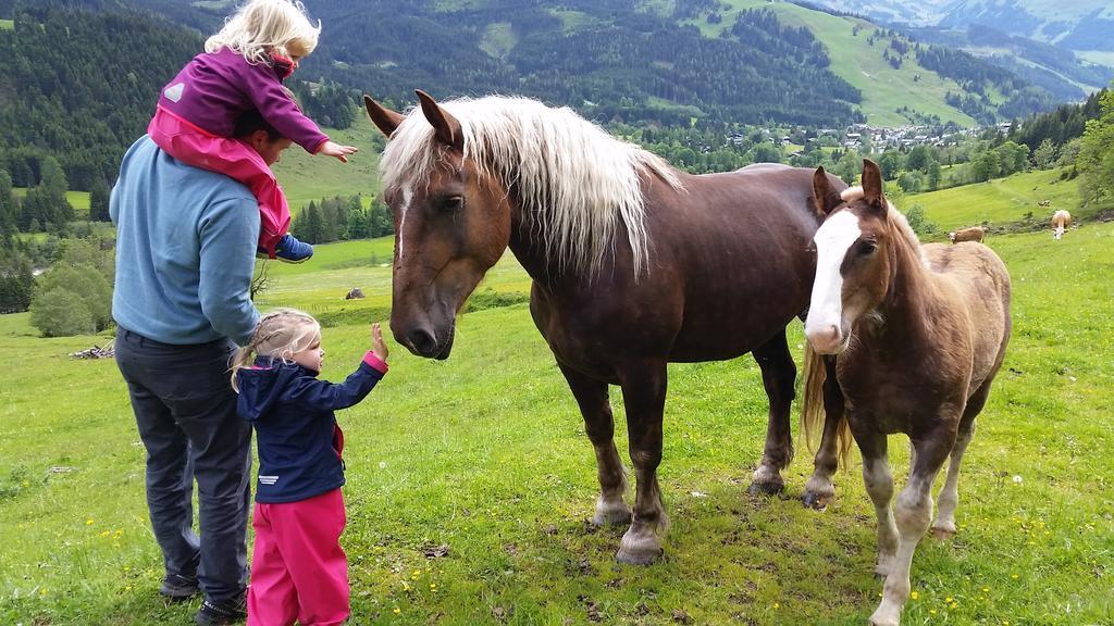 Biobauernhof Stegerbauer Maria Alm am Steinernen Meer Exterior foto